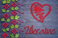 читати книги онлайн українською