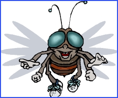 Хвалькувата муха, українські народні