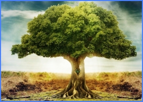 Золоте дерево, грецька казка