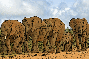 Жадібний багатій, індійська казка