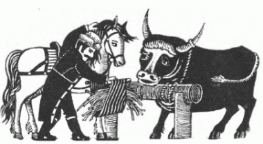 Кінь і віл, чеська казка