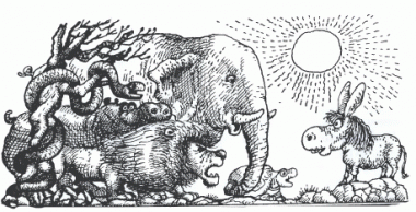 Невдячний віслюк, кубинська казка