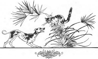 Пес і кіт, африканська казка