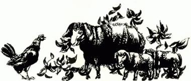 Курка й вівця, болгарська казка