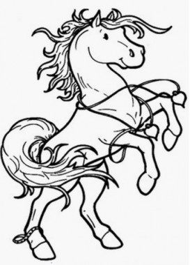 Хто дужчий?, казахська казка