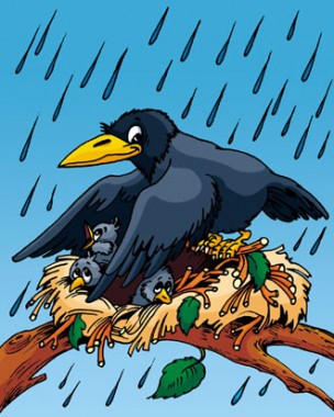 Сорока та її пташенята, бурятська казка