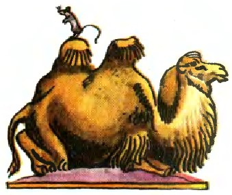 Миша та верблюд, бурятська казка