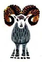 Велика дума, чукотська казка