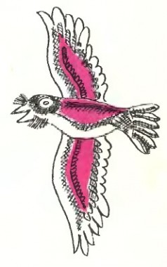 Як віслюк, півень та коза девів обдурили, туркменська казка