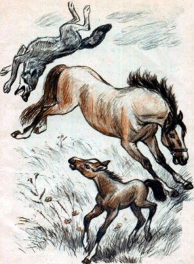 Нерозумний вовк, таджицька казка