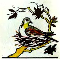 Лисиця й горлиця, таджицька казка