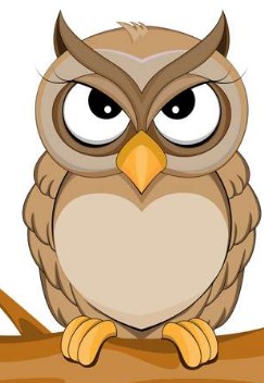 Сови, таджицька казка